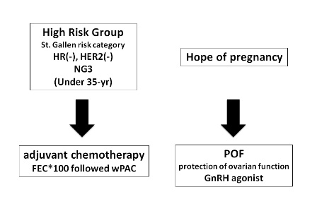 Figure 3. Postoperative plan. Based on the St. Gallen risk category, this case belonged to the high risk factor group, and so adjuvant chemotherapy was conducted. She desired to have a child, and so GnRH agonist was administered to protect the ovarian function, although the hormone receptors were negative.