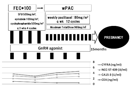 Figure 4. Postoperative course. Postoperative chemotherapy was conducted involving 4 cycles of FEC*100 and 12 cycles of weekly paclitaxel with GnRH agonist. After the chemotherapy, she was monitored at the outpatient clinic, with no metastasis or recurrence. Pregnancy was confirmed 15 months later. 