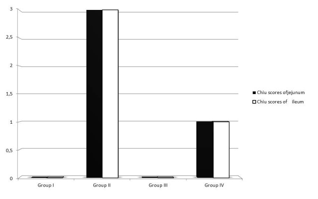 Figure 2: The changes in Chiu’s scores in intestinal tissue in groups.