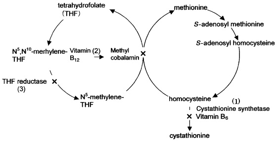 Fig1